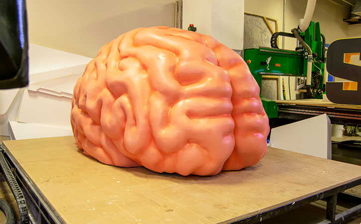 3D Brain Sculpture for Exhibit